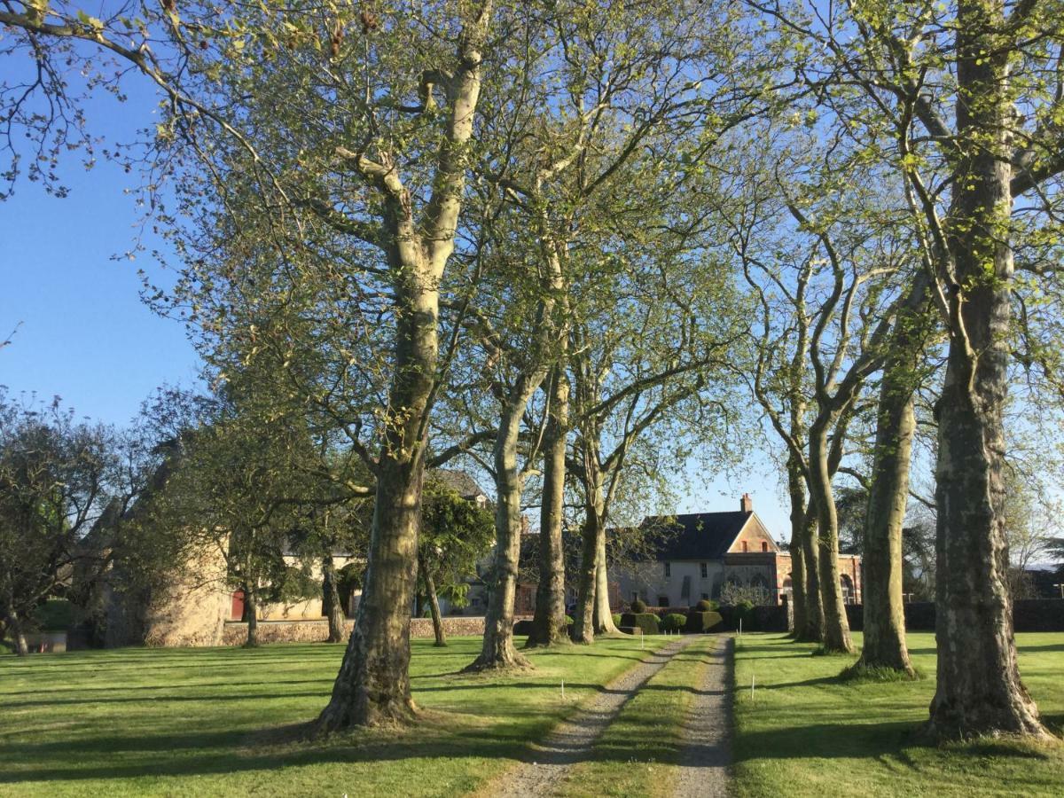 Logis de la Helberdière Cossé-en-Champagne Buitenkant foto